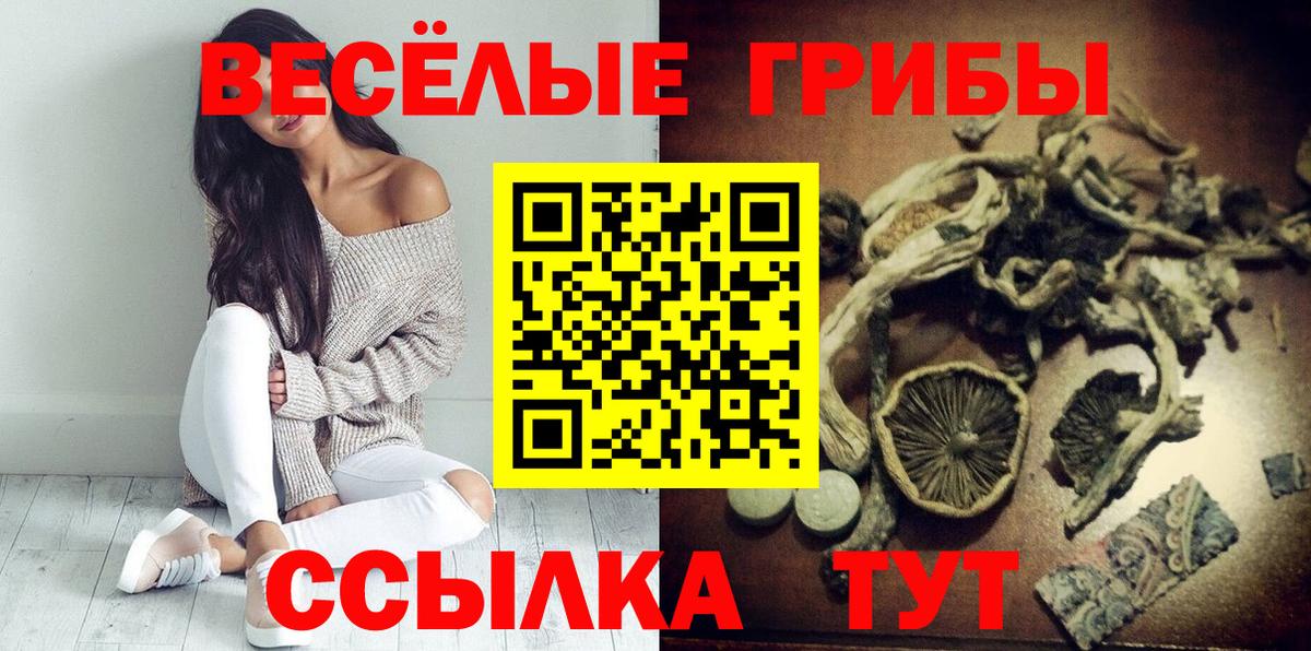 Псилоцибиновые грибы Psilocybe Дедовск