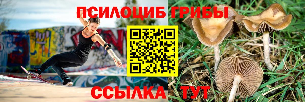 Галлюциногенные грибы Psilocybe  сколько стоит  Псилоцибиновые грибы ЛСД  Дедовск  Вход с VPN 